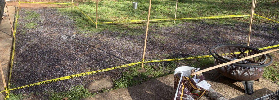 During — aerated, seeded, and covered